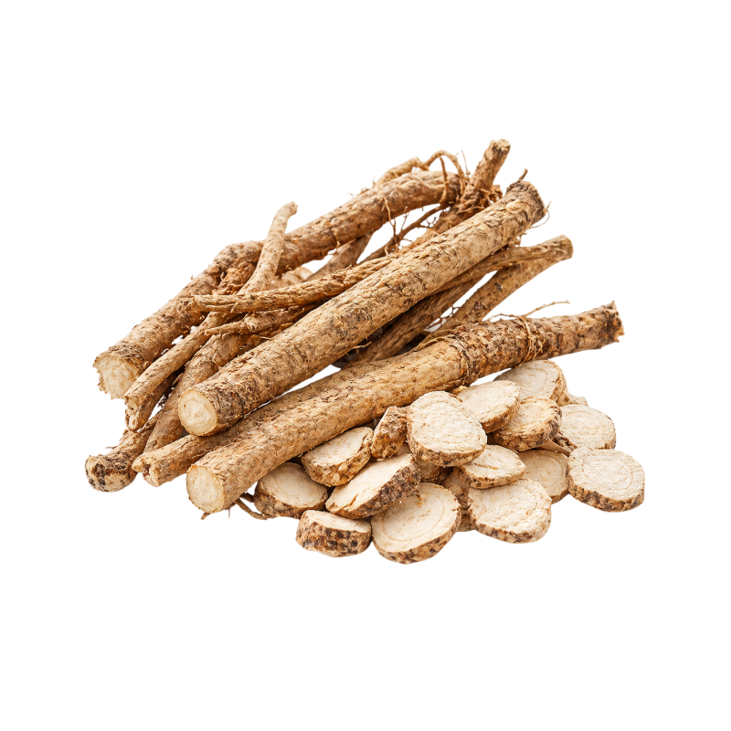 Five Finger Fig Root