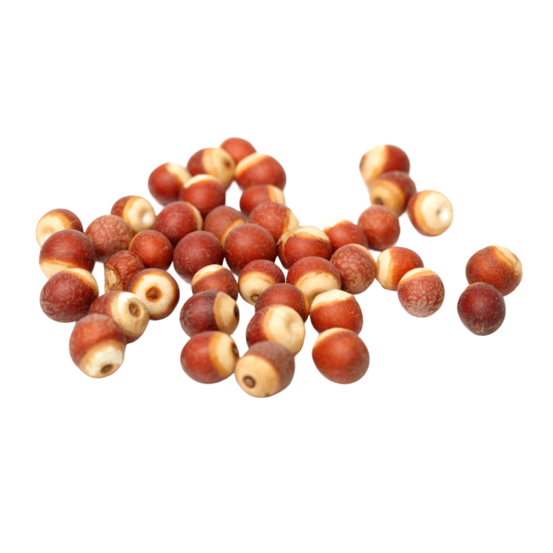 Fox Nuts (Qian Shi)