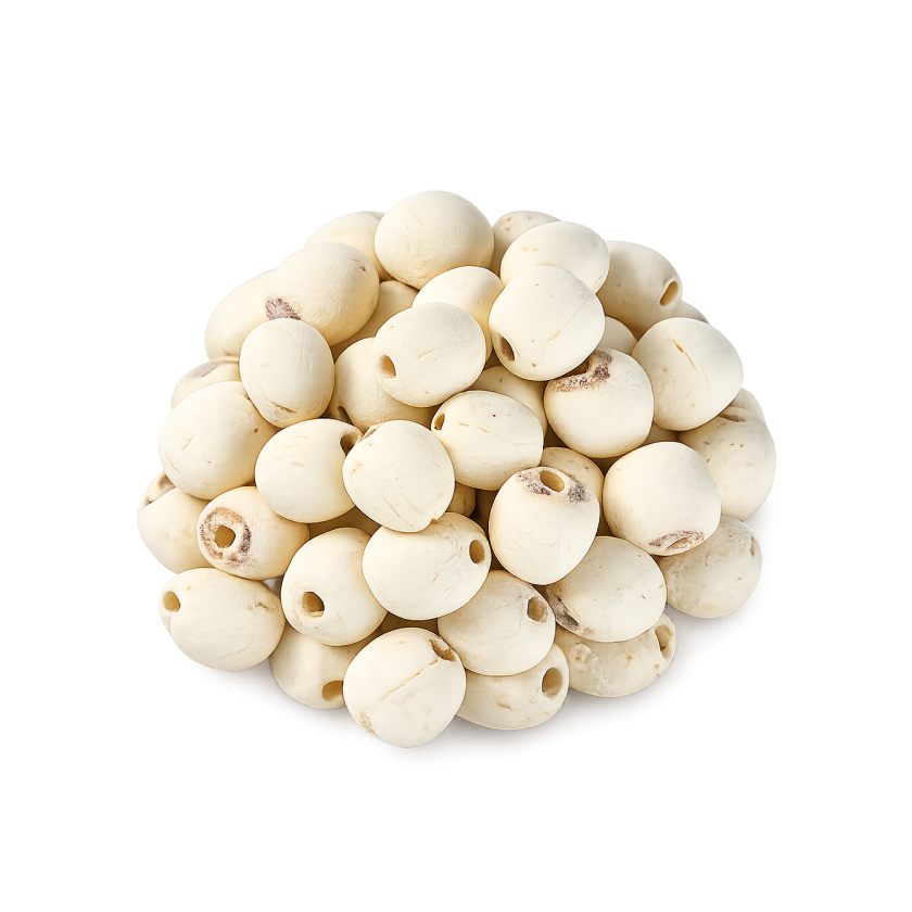 Lotus Seeds